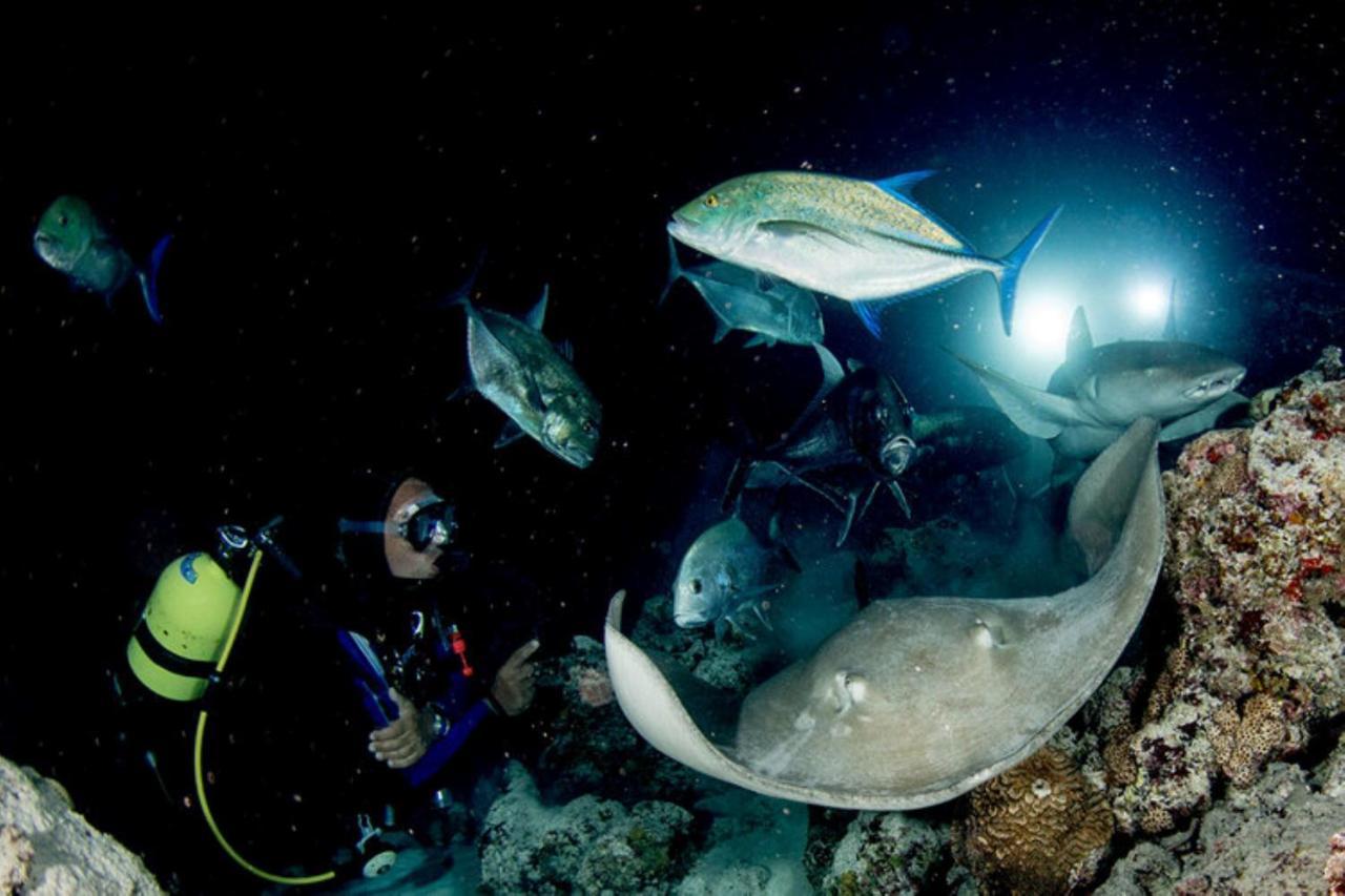 Hotel And Dive Center Roatan Yacht Club French Harbour ภายนอก รูปภาพ