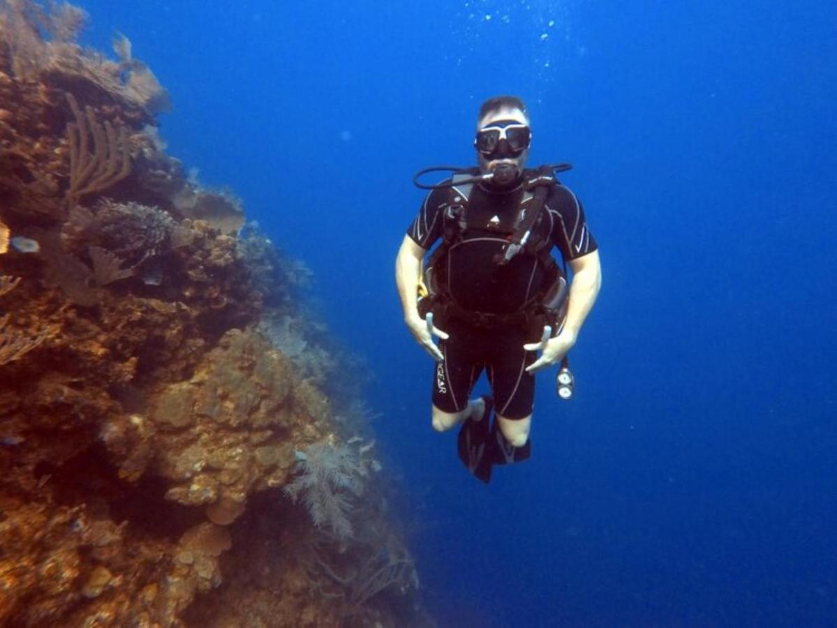 Hotel And Dive Center Roatan Yacht Club French Harbour ภายนอก รูปภาพ